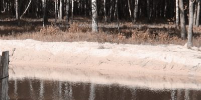Укрепление берега озера